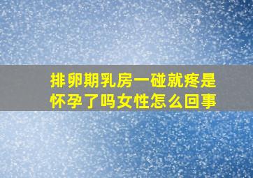 排卵期乳房一碰就疼是怀孕了吗女性怎么回事