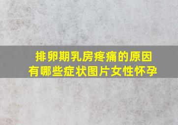 排卵期乳房疼痛的原因有哪些症状图片女性怀孕