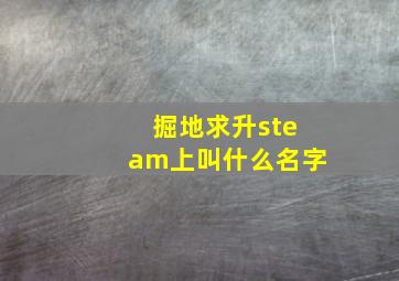 掘地求升steam上叫什么名字