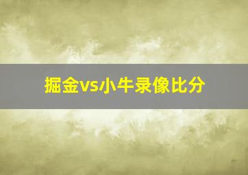 掘金vs小牛录像比分