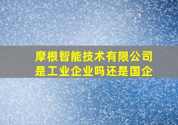 摩根智能技术有限公司是工业企业吗还是国企