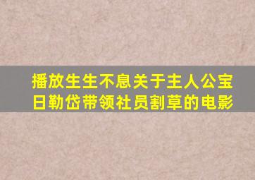 播放生生不息关于主人公宝日勒岱带领社员割草的电影