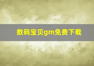 数码宝贝gm免费下载