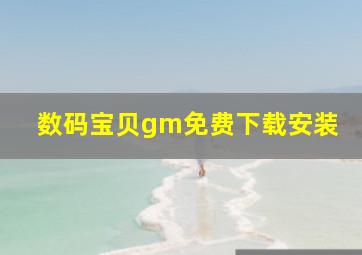 数码宝贝gm免费下载安装