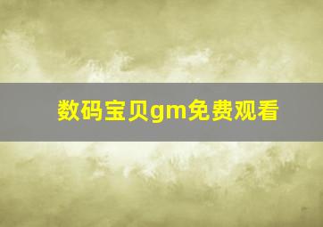 数码宝贝gm免费观看