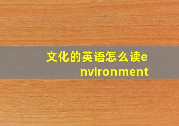 文化的英语怎么读environment