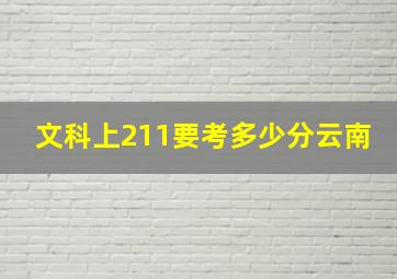 文科上211要考多少分云南