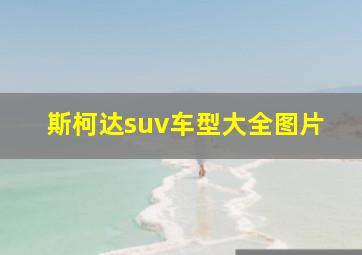 斯柯达suv车型大全图片