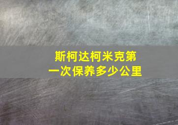 斯柯达柯米克第一次保养多少公里