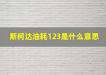 斯柯达油耗123是什么意思