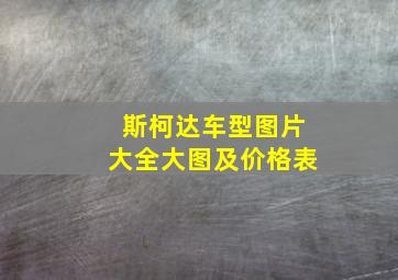 斯柯达车型图片大全大图及价格表