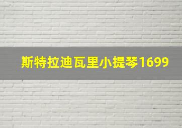 斯特拉迪瓦里小提琴1699