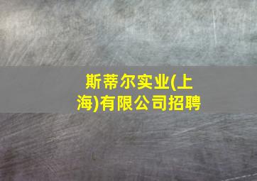 斯蒂尔实业(上海)有限公司招聘