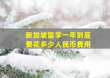 新加坡留学一年到底要花多少人民币费用