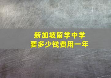 新加坡留学中学要多少钱费用一年