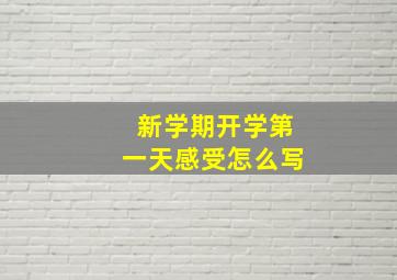 新学期开学第一天感受怎么写