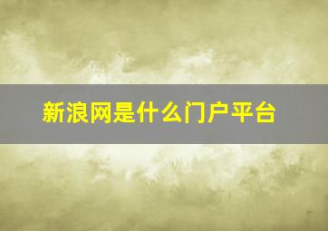 新浪网是什么门户平台