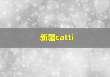 新疆catti