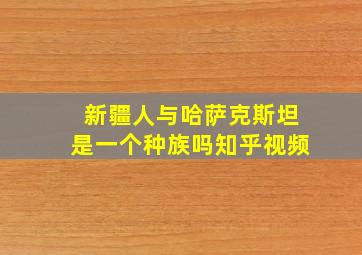 新疆人与哈萨克斯坦是一个种族吗知乎视频