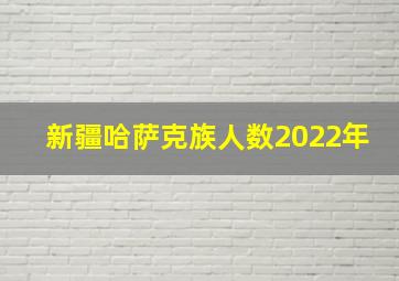 新疆哈萨克族人数2022年