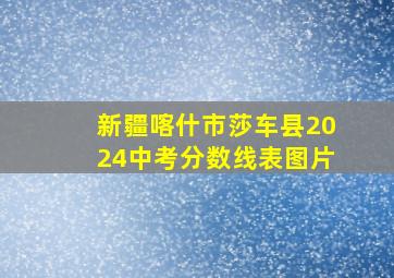 新疆喀什市莎车县2024中考分数线表图片