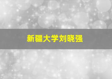 新疆大学刘晓强