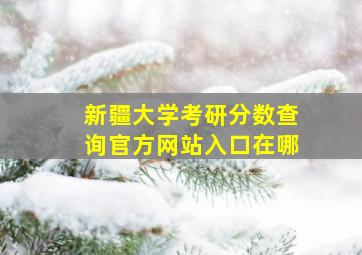 新疆大学考研分数查询官方网站入口在哪