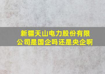 新疆天山电力股份有限公司是国企吗还是央企啊