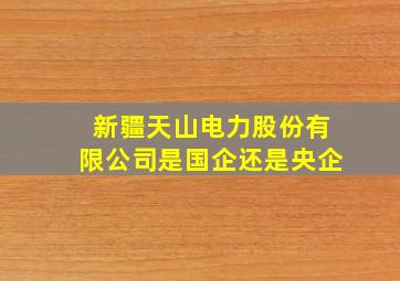 新疆天山电力股份有限公司是国企还是央企