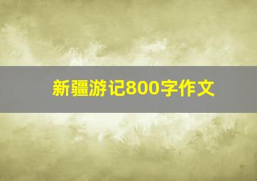 新疆游记800字作文