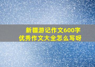 新疆游记作文600字优秀作文大全怎么写呀