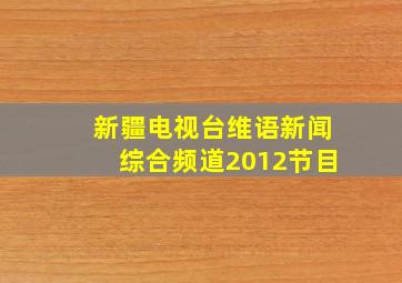 新疆电视台维语新闻综合频道2012节目