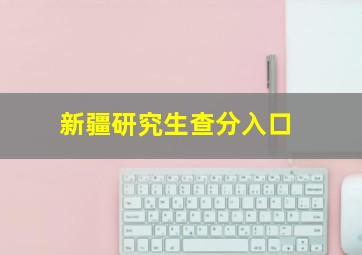 新疆研究生查分入口