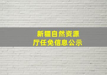 新疆自然资源厅任免信息公示