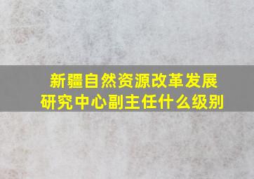 新疆自然资源改革发展研究中心副主任什么级别