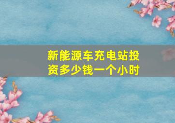 新能源车充电站投资多少钱一个小时