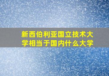 新西伯利亚国立技术大学相当于国内什么大学