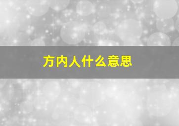 方内人什么意思