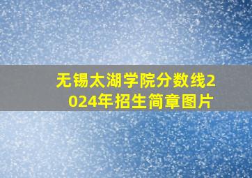 无锡太湖学院分数线2024年招生简章图片