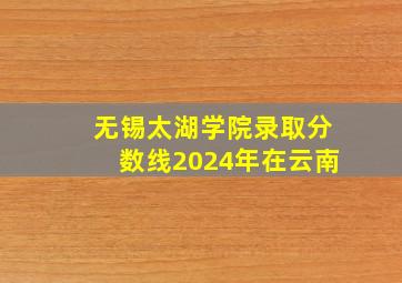 无锡太湖学院录取分数线2024年在云南