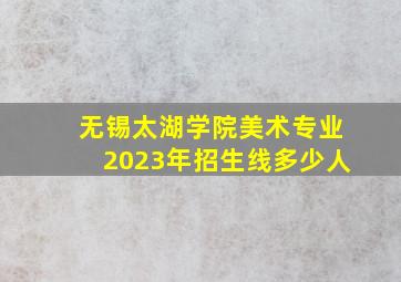 无锡太湖学院美术专业2023年招生线多少人