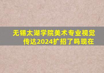 无锡太湖学院美术专业视觉传达2024扩招了吗现在