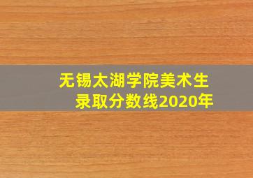 无锡太湖学院美术生录取分数线2020年