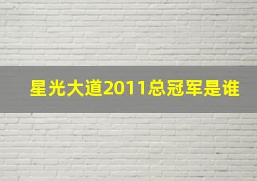 星光大道2011总冠军是谁