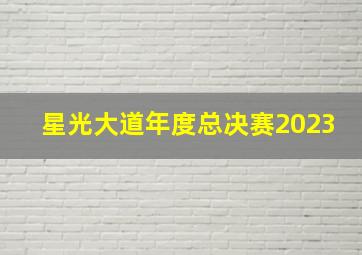 星光大道年度总决赛2023