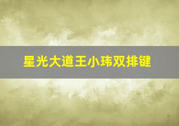 星光大道王小玮双排键