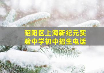 昭阳区上海新纪元实验中学初中招生电话