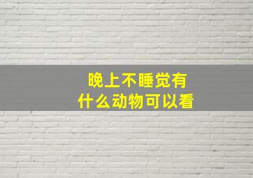 晚上不睡觉有什么动物可以看