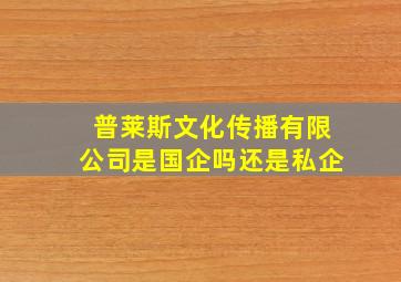 普莱斯文化传播有限公司是国企吗还是私企