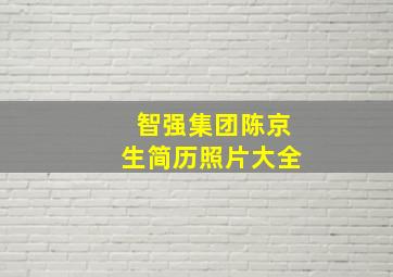 智强集团陈京生简历照片大全